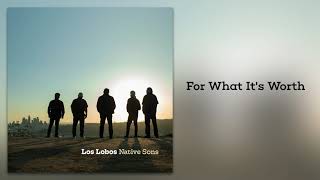 Video thumbnail of "Los Lobos "For What It's Worth" (from Native Sons)"