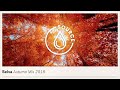 Selva  autumn mix 2018