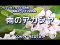 新曲【雨のアカシヤ】真咲よう子/cover 麻生新