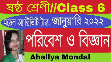 Class  6  Science ( পরিবেশ ও বিজ্ঞান ) Model Activity Task // January 2022//WBBSE Ahallya Mondal