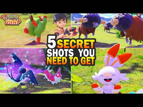 5 Secret Photo Interactions You Need To Get! New Pokemon Snap Request Guide