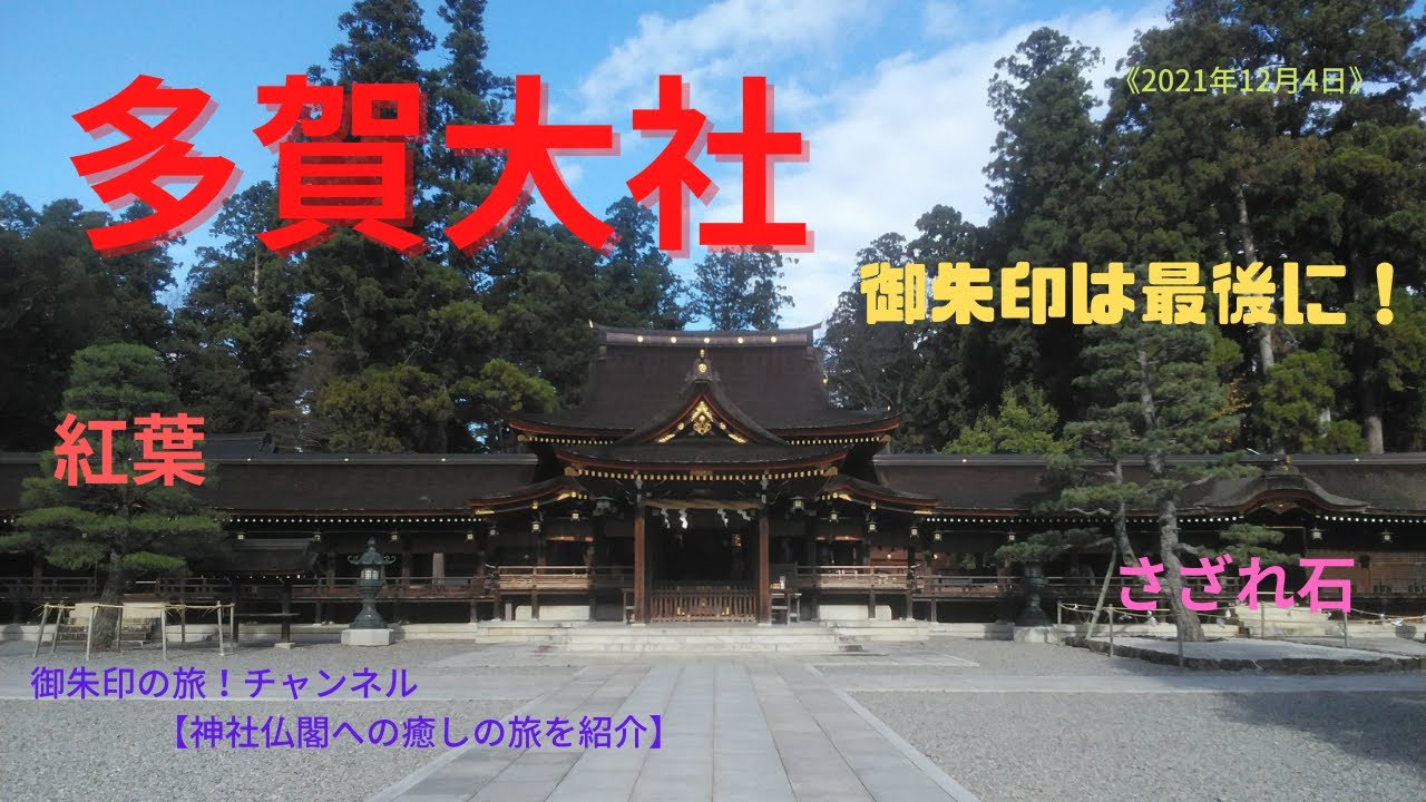 多賀大社に月参り さざれ石 寿命石 紅葉 21年12月4日 Youtube