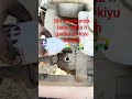 #mechanic #cng #gear box #automobile