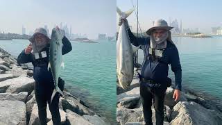 Huge Queenfish 6.55kilo | Best fishing spot Dubai (Al Sufouh beach