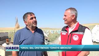 “Ordu, Bal Üretiminde Türkiye Birincisi”