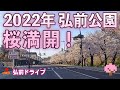 【青森県弘前市】弘前さくらまつりスタート！弘前公園外濠を往復ドライブ！桜満開の朝は天気がよくてまぶしすぎた！