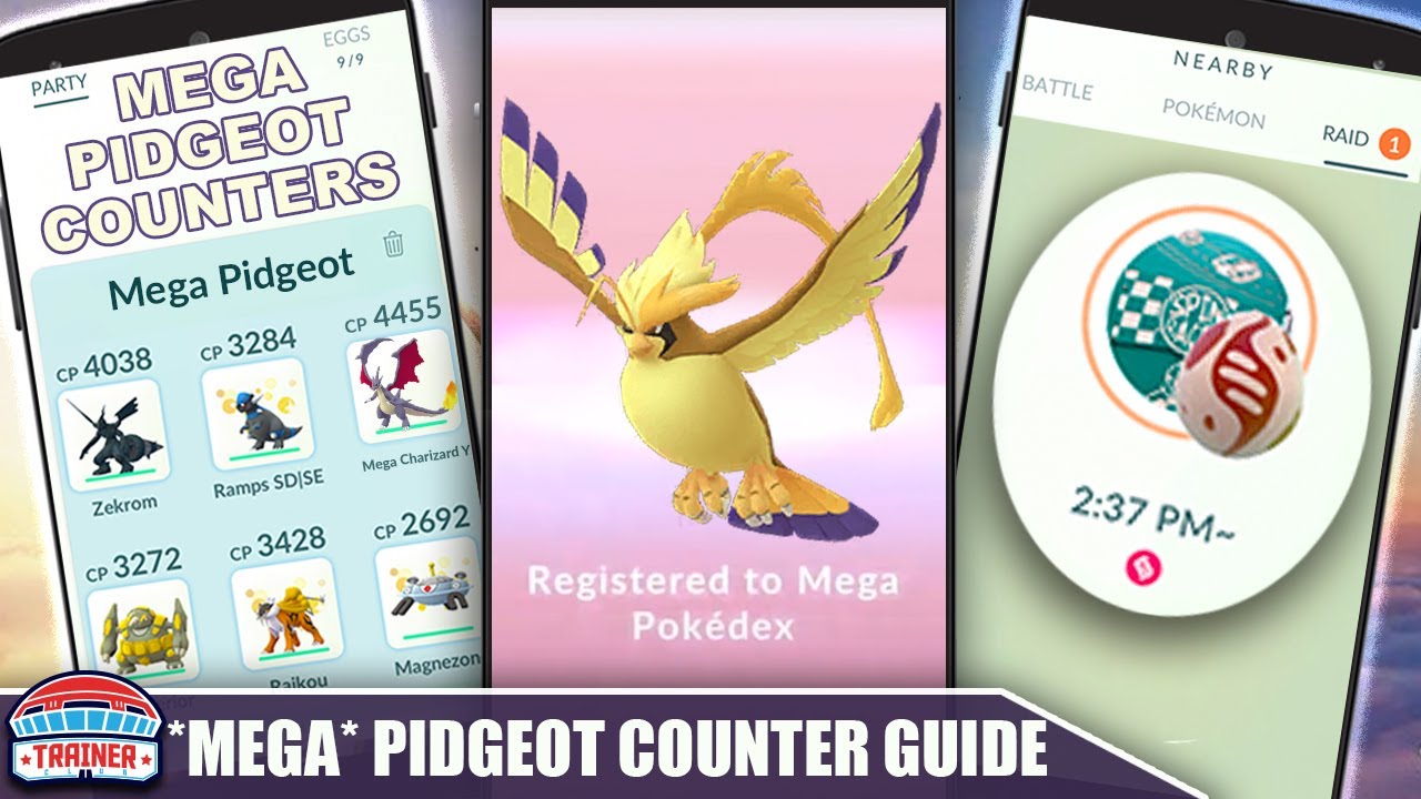 THE *MEGA PIDGEOT* COUNTER GUIDE! 100 IVs, MOVESET & WEAKNESS - NORMAL FLYING RAID BOSS | Pokémon Go