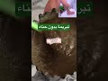تبريمة واشمن تبريمة تخرج ليك لوسخ ديال عام وتردك بلارة كتشعلي واشمن بياض واشمن رطوبة 