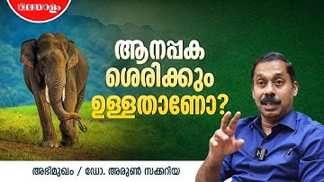 ആനയ്ക്ക് ഓർമ്മശക്തിയുണ്ടോ? | Dr Arun Zachariah Interview