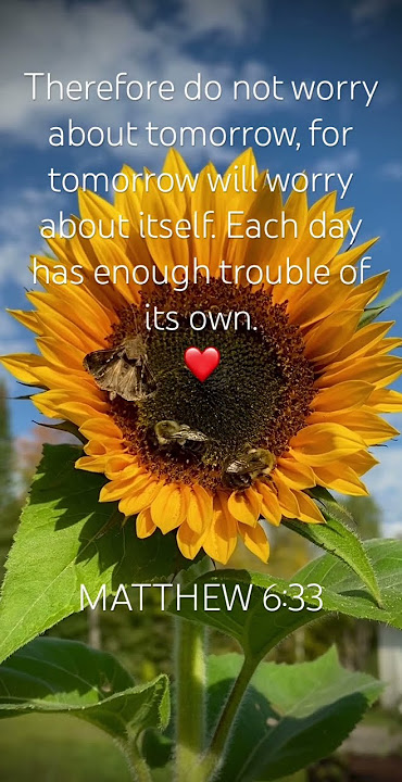 One Day at a Time⏰ READ ON❎HERE!Matthew 25-34#Jesus,#God,#Bible,#Faith,@SingingSandsScripture
