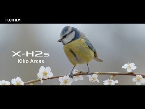 X-H2S: Bird photography by Kiko Arcas &amp; Alberto Saiz/ FUJIFILM