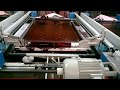 TECTESLA DOUBLE SERVO IN FLATBED SCREEN PRINTING MACHINE