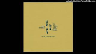 We All Walk Our Own Roads - Iya Terra Feat. Trevor Hall