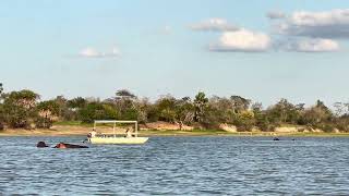 Essential Destinations - Lake Manze - Solar powered boats at Lake Manze
