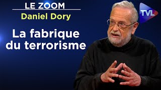 Opérateurs, commanditaire, services secrets : la fabrique du terrorisme - Le Zoom - Daniel Dory