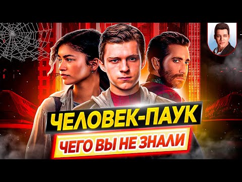 Видео: Человек-Паук - Самые интересные факты - ЧЕГО ВЫ НЕ ЗНАЛИ о фильмах киновселенной Marvel // ДКино