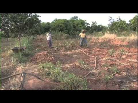 Road Runoff Harvesting