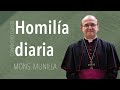 Homilía 17-10-2020 // T. ORDINARIO -XXVIII- Sábado Año Par