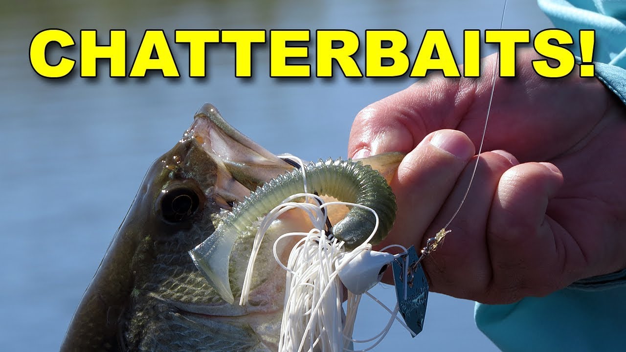 Best Chatterbait Tips For Bass Fishing (These Work!) Video The