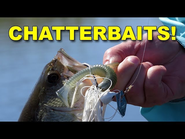 Best Chatterbait Tips for Bass Fishing (These Work!)