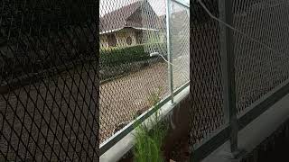 Begibi Caranya Ngecat Ram Expanda ,Biar Gak Boros Cat