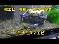 √70以上 ミナミヌマエビ 飼育 必要なもの 245101-ミナミヌマエビ 飼育 必要なもの