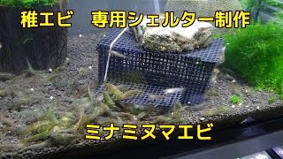 ミナミヌマエビ稚エビ専用シェルター作成 ゆっくり餌が食べられますシュリンプ Youtube