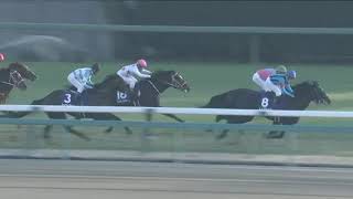 2022.12.28 Hopeful Stakes (JPN) - Dura Erede