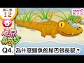 世界真奇妙S3 12 Q4 為什麼鱷魚的尾巴很長呢 為什麼 為甚麼 WHY 孩子的疑問 Q A 學習新知長知識 教育問答 第三季 第12集 題目04 親子台 官方HD短版 Momokids 世界真奇妙S3 12 Q4 為什麼鱷魚的尾巴很長呢 為什麼 為甚麼 WHY 孩子的疑問 Q A 學習新知長知識 教育問答 第三季 第12集 題目04 親子台 官方HD短版 Momokids