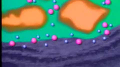 SP logging principle