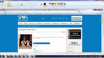 Print Screen / Screen Capture / Screenshots with Windows 7