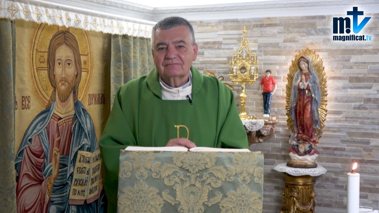 “Alégrate de Sufrir por Cristo” | Homilía, Viernes, XIV Semana del T.O | P. Santiago M