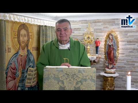 “Alégrate de Sufrir por Cristo” | Homilía, Viernes, XIV Semana del T.O | P. Santiago M