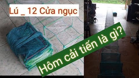 Lú - 12 cửa ngục. Hôm cải tiến là như thế nào mới đạt hiệu quả cao 0335399558