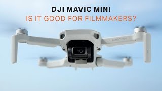 DJI Mavic Mini - Is This a Pro Drone? | Filmmaking Today