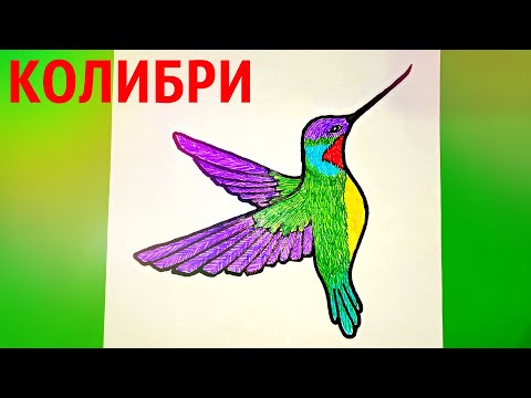 Как нарисовать птицу КОЛИБРИ?