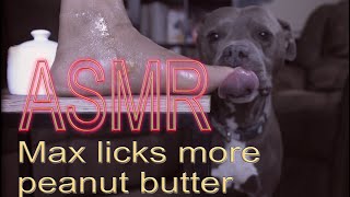 Max Licks More Peanut Butter | ASMR DOG LICKING | NO TALKING