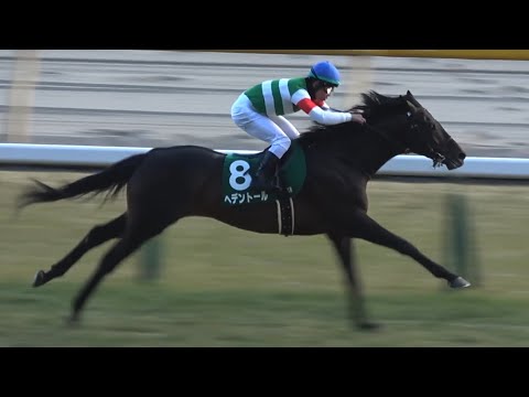 【現地】2025 G3 ダイヤモンドS ヘデントール 戸崎 圭太【東京競馬場】