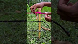 Easy Rope Knots for Posts 🪢🔥 | Strong &amp; No-Slip Knot Tricks