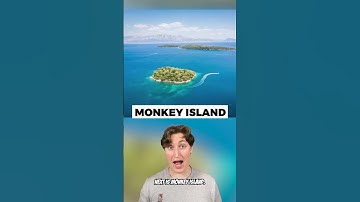 Thumbnail of Islands On Earth If You Go To, You Will Die! #Shorts