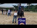 VLOG | Copa de Marcha Amparo -  Canal Jeito de Cowboy