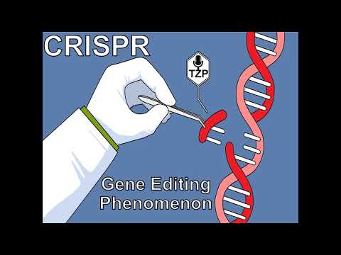 Video: CRISPR Bērni: Nākamais Cilvēces Milzīgais Lēciens - Alternatīvs Skats