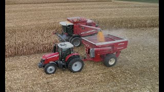 Corn Harvest Video for the Massey Ferguson Fans