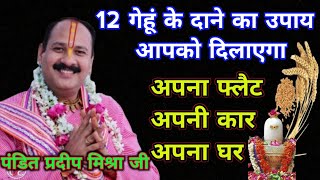 12 गेहूं के दाने का उपाय||Gehu ke dane ka upay||pandit pradeep mishra screenshot 4