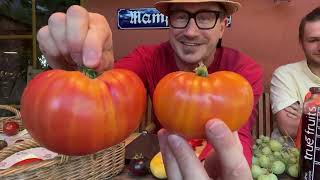 Die BESTE Tomate 2023: Die Einkochautomate 🍅
