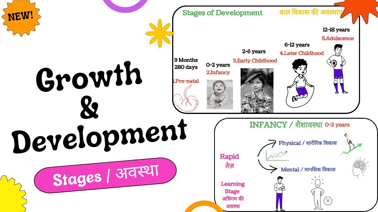 Stages of Devleopment | Growh and Development in hindi | Cdp Animation | CTET / UPTET / Supertet