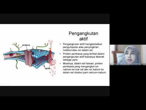 Video: Adakah protein pembawa memerlukan tenaga?