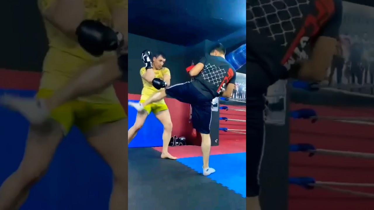 mma eğitim kampı