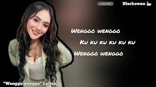 Download Lagu Fajarsadboy feat mala agatha - WENGGO WENGGO LYRICS  MP3