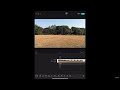 CapCut Power-Up: Stabilize, Opacity, Reverse, &amp; Freeze Frame Tutorial